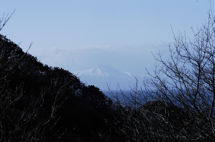 f0114954_16105930.jpg