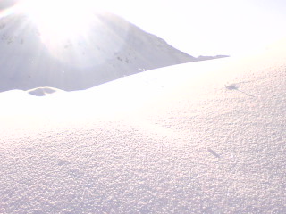 d0110562_83839100.jpg