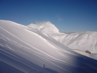 d0110562_8383924.jpg