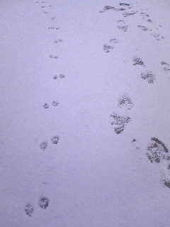 c0108664_18404897.jpg