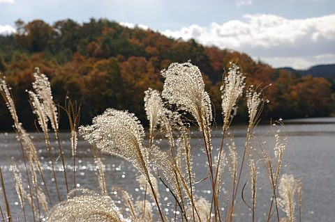 三次へ紅葉狩り ～ 「尾関山公園」他_e0045768_2128659.jpg