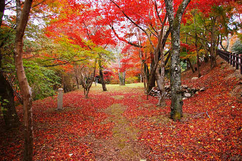 三次へ紅葉狩り ～ 「尾関山公園」他_e0045768_21405365.jpg