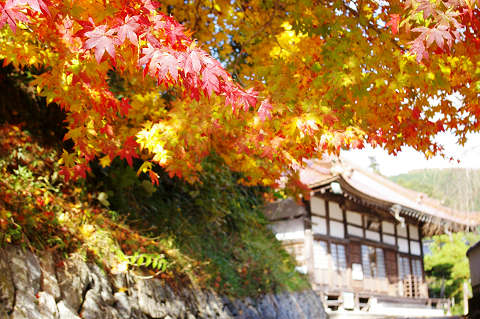 三次へ紅葉狩り ～ 「尾関山公園」他_e0045768_21432978.jpg