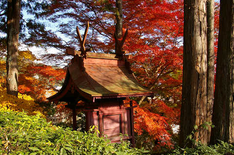 三次へ紅葉狩り ～ 「尾関山公園」他_e0045768_21465151.jpg