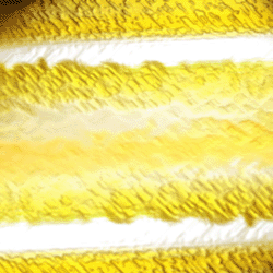 d0084170_16465711.gif