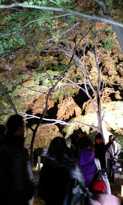 c0025471_1127559.jpg