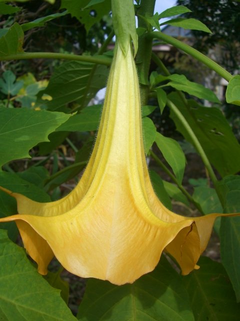 f0137275_5332469.jpg