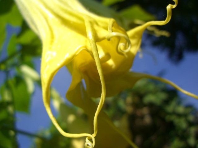 f0137275_5412475.jpg