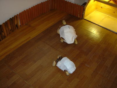 b0055276_0452853.jpg