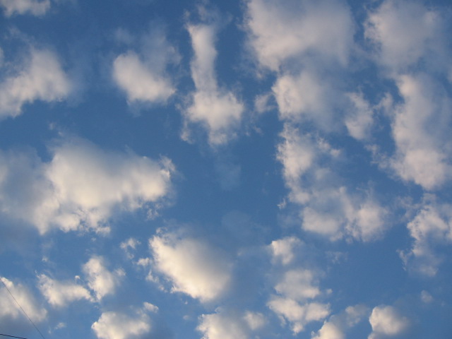 e0117976_16235242.jpg