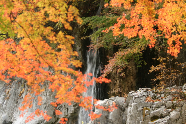 勝山～新庄～蒜山　プチドライブ　2_c0148777_21282112.jpg