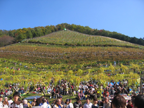 ワイン祭り_b0120278_10582218.jpg