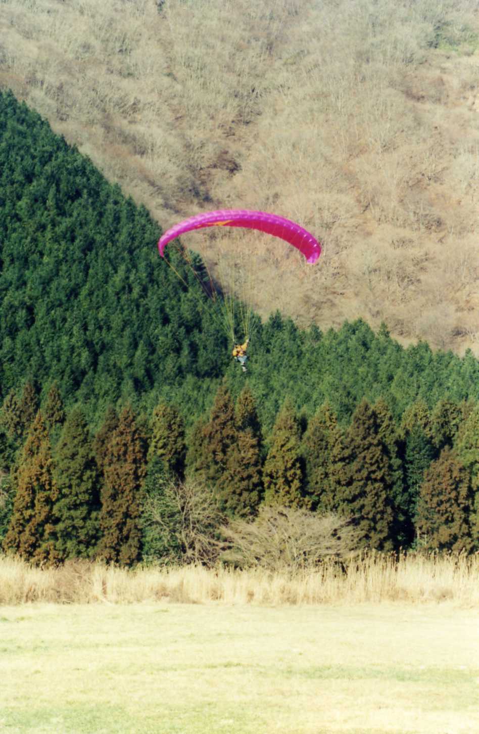 青空を飛ぶ パラグライダー_d0005380_11394972.jpg