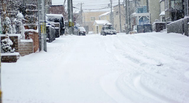 雪が積もりましたよ_e0003183_1745891.jpg