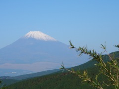 ２００７年１１月２０日　アドレスがまるっきりないのお～～         _b0098584_23372840.jpg