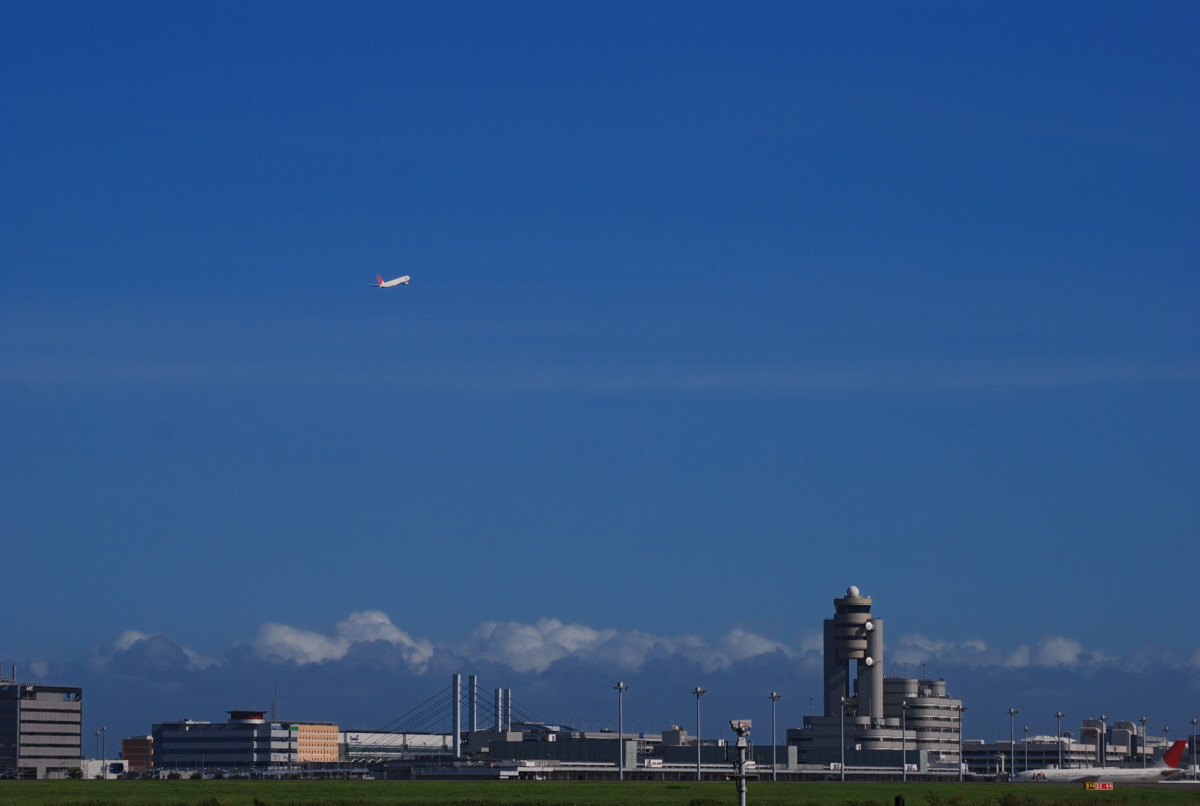 青空と飛行機_f0147385_893054.jpg