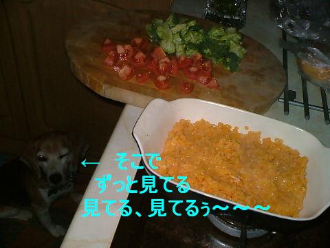 ノーマンの手作りご飯　第二週目っ_c0027188_720385.jpg