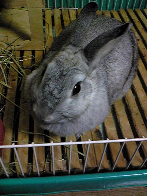 a0107193_19321344.jpg