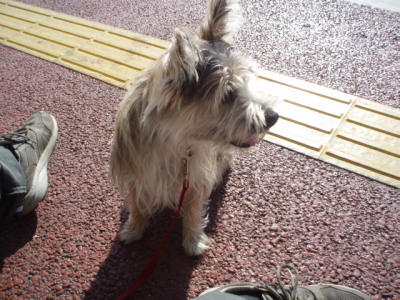 c0086895_21581682.jpg