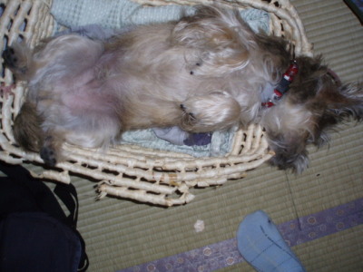 c0086895_2241563.jpg