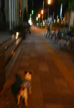 f0146198_23285181.jpg
