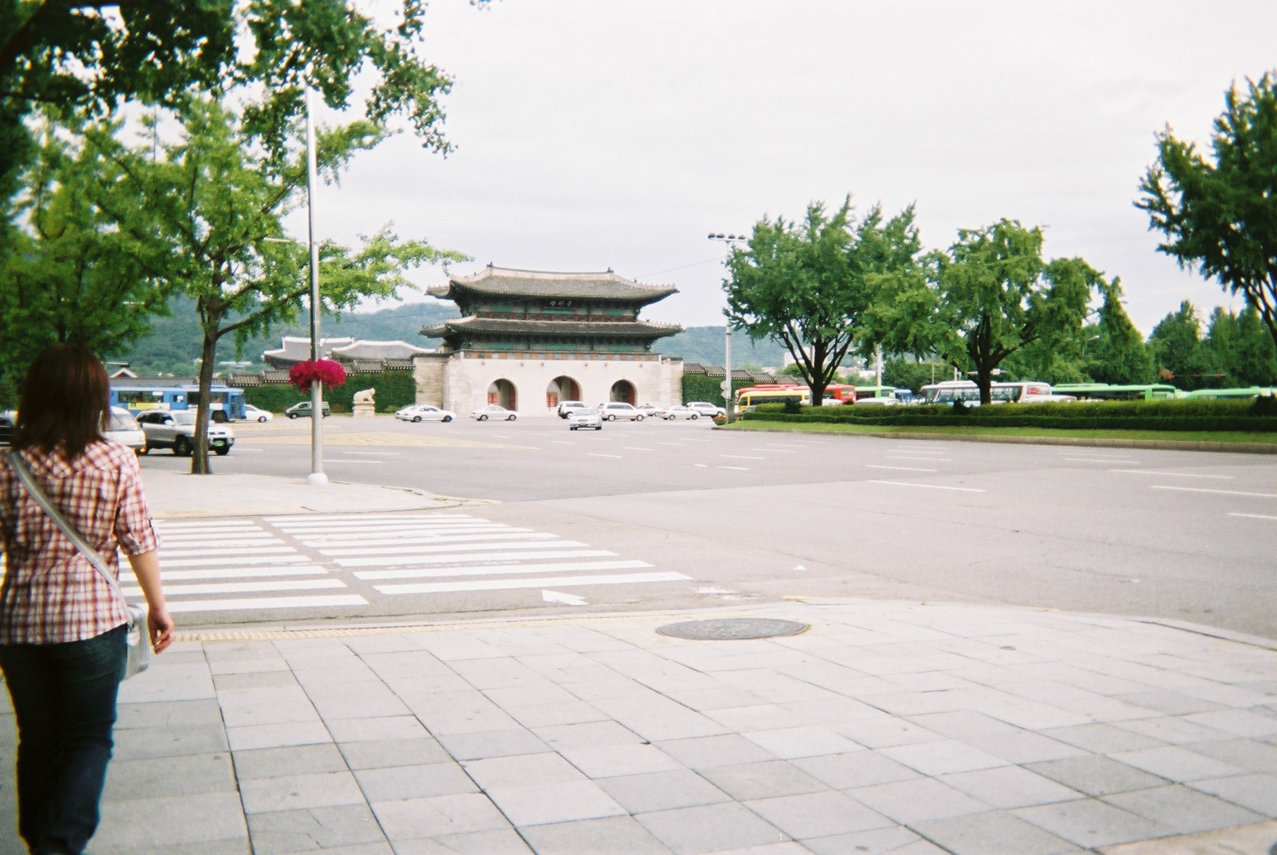 d0111702_10241816.jpg