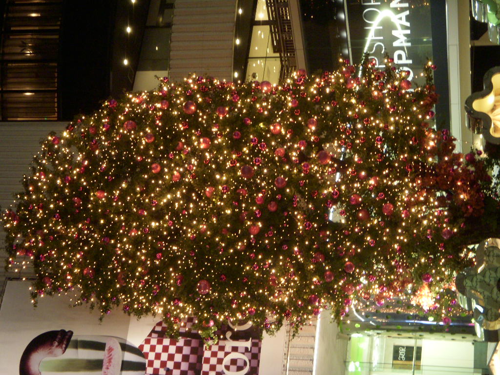 b0089407_1717564.jpg