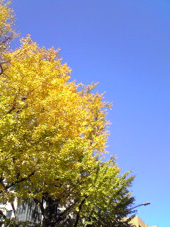 c0132608_11421224.jpg