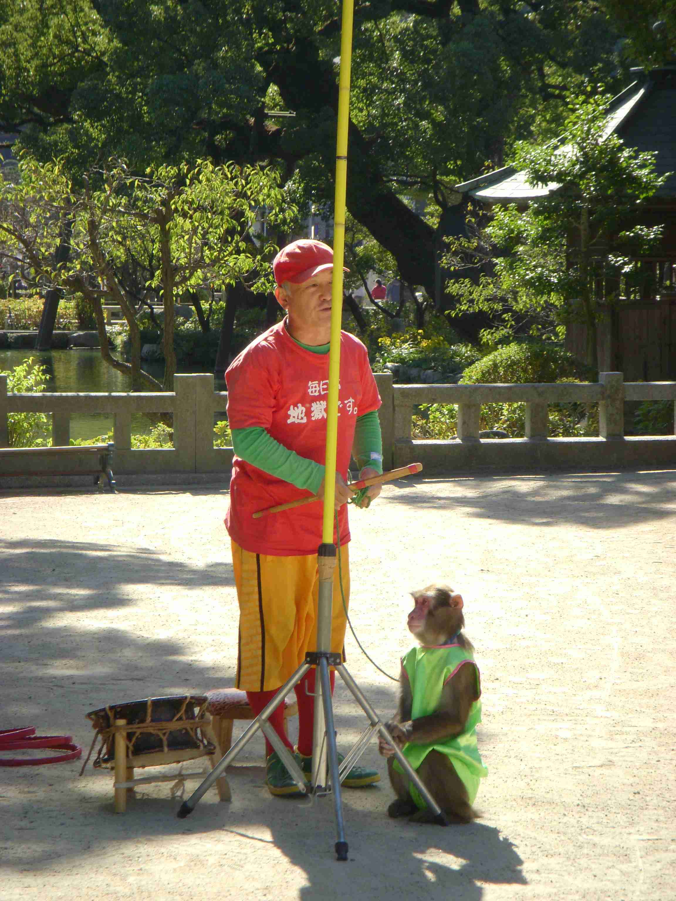 d0116009_950851.jpg