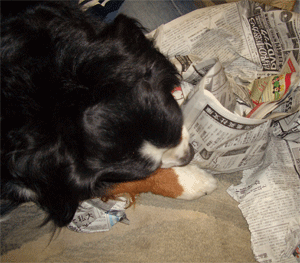 c0143711_2326212.gif