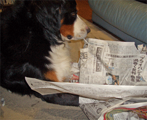 c0143711_2326976.gif