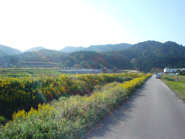 d0039111_11102042.jpg