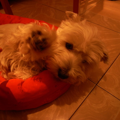 c0026612_15552730.jpg
