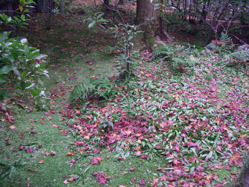 嵐山　祗王寺_e0095515_23245718.jpg