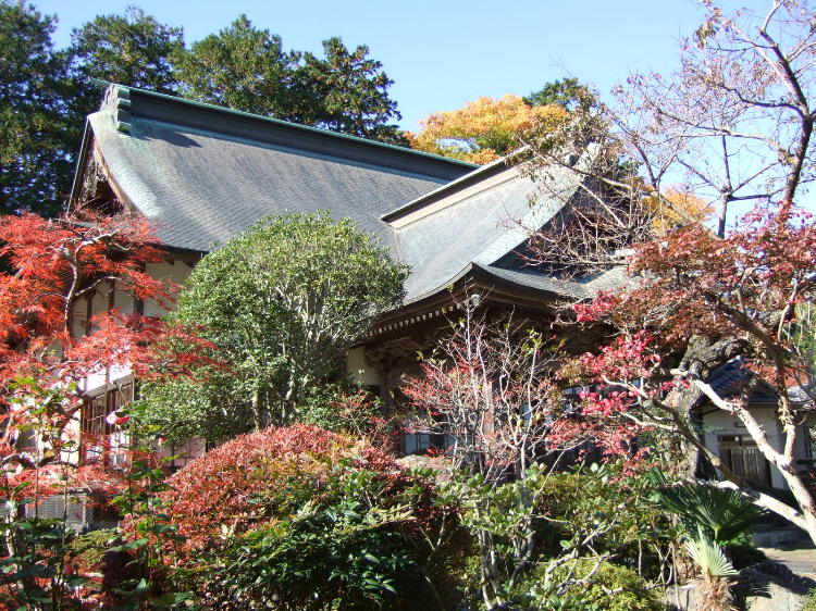 萬松山　大雄寺～本堂_f0143119_23553910.jpg