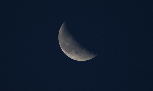 c0147123_6493653.jpg