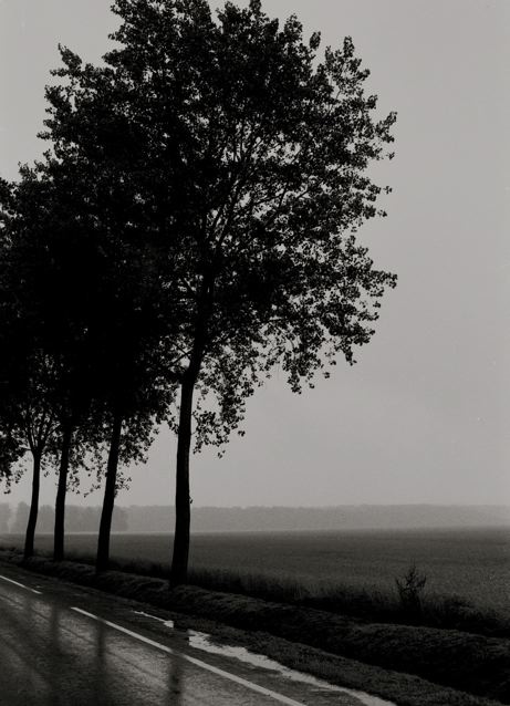e0044929_2247563.jpg