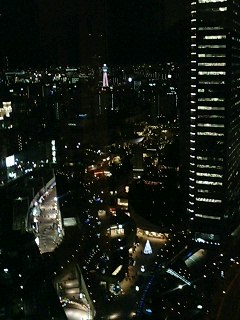 e0104331_1745498.jpg