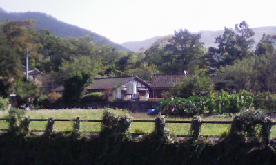 e0106231_12358.jpg