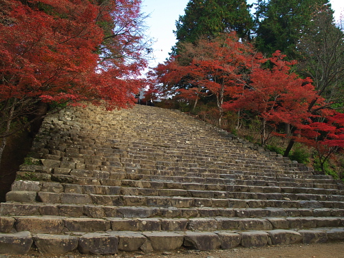 高雄の紅葉♪～神護寺_e0080133_028136.jpg