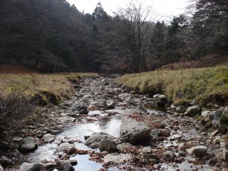 d0055236_12484640.jpg