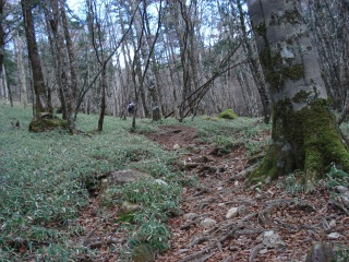 d0055236_1375049.jpg