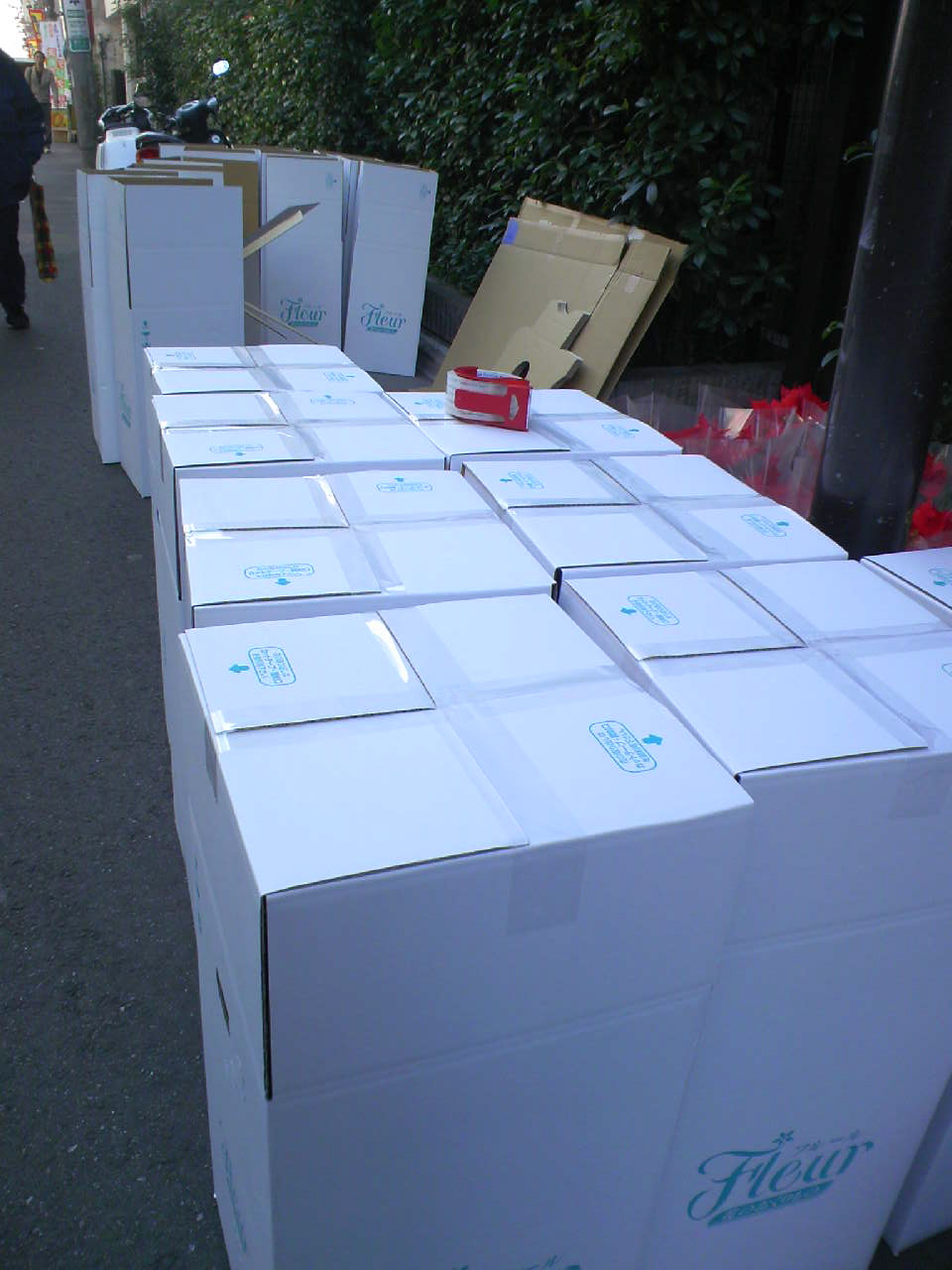c0125637_2336645.jpg