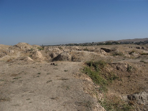 c0051938_1013110.jpg