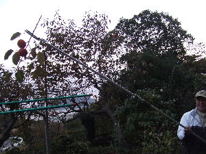 a0054240_21393254.jpg