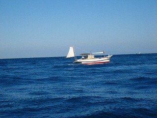 f0131940_19145792.jpg
