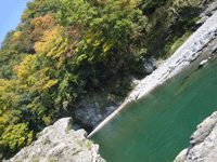 f0134642_21344170.gif