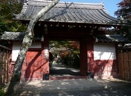 京の紅葉を訪ねて vol.3 常照寺_c0057946_19262686.jpg