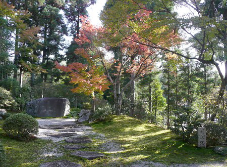 京の紅葉を訪ねて vol.3 常照寺_c0057946_19264767.jpg