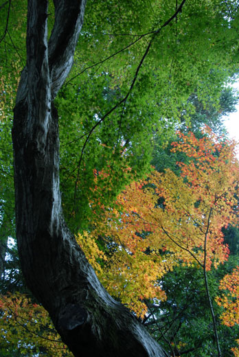 c0093046_6585871.jpg